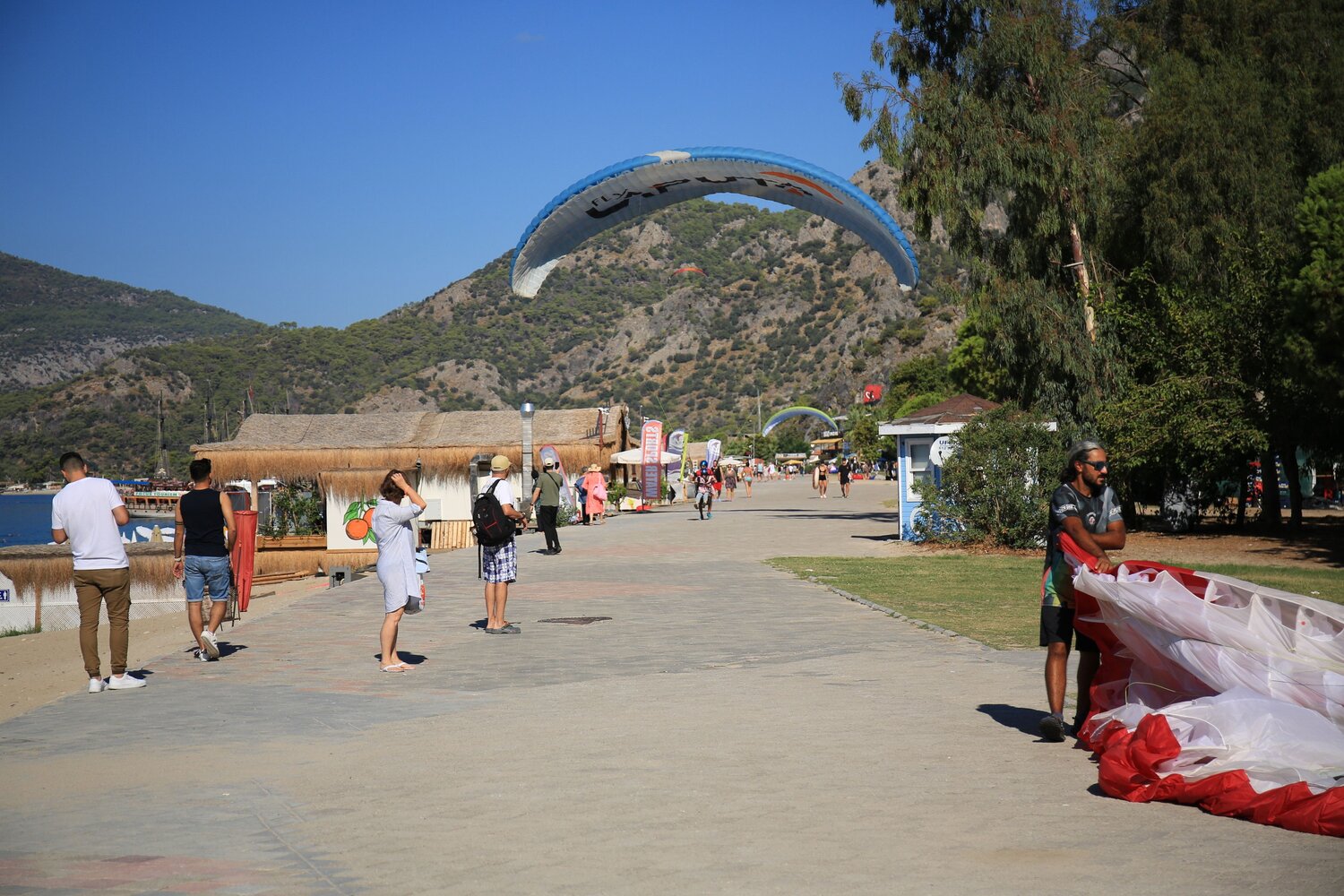 Photo #13934664