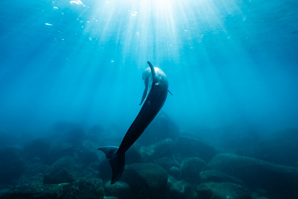 Фотография автора nishijima takayuki