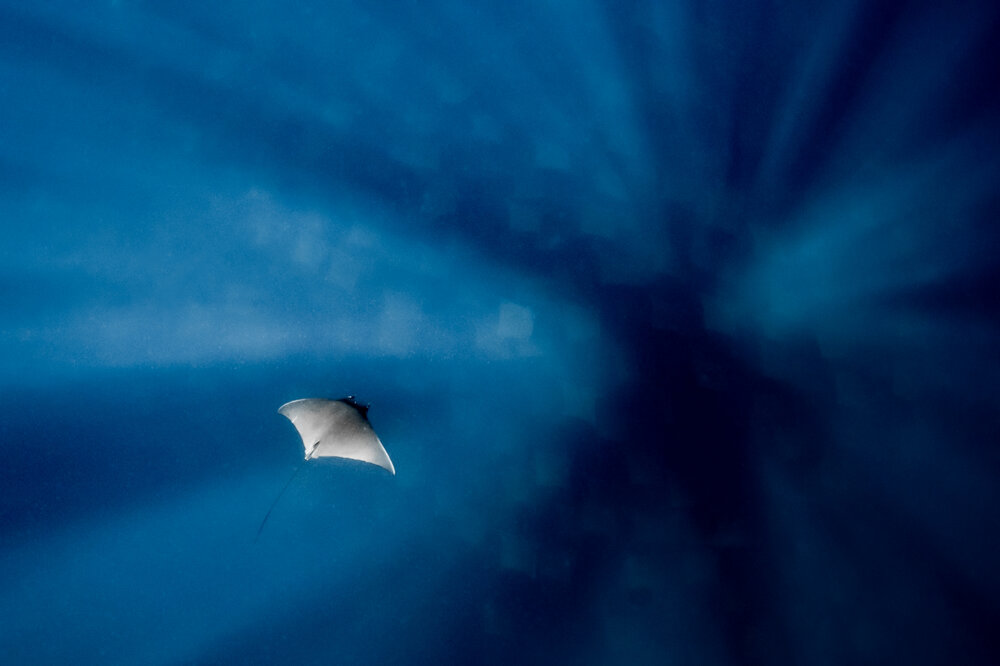 Фотография автора nishijima takayuki