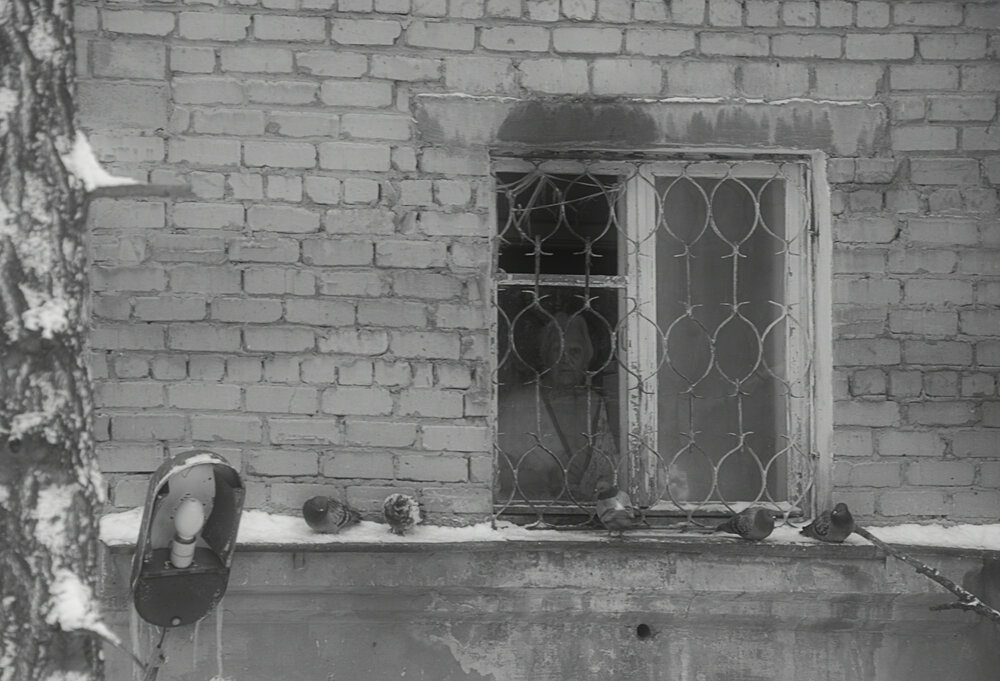Photograph by Сергей Рябов