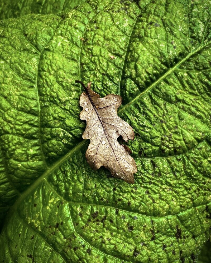 Photograph by Александр Козинец