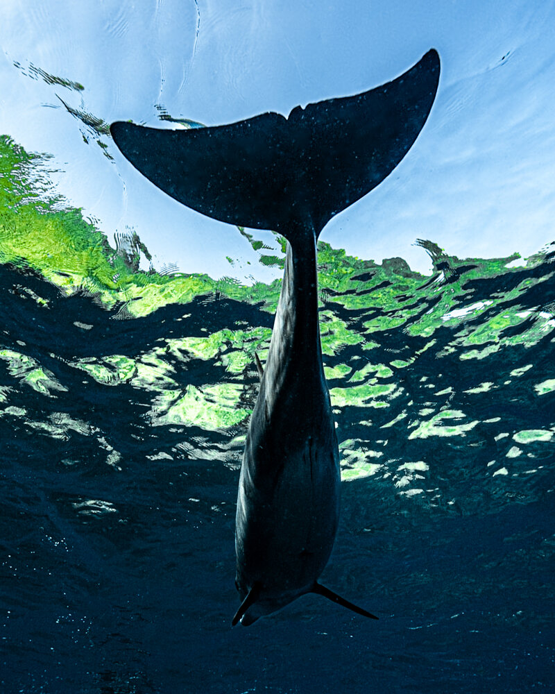 Photograph by nishijima takayuki