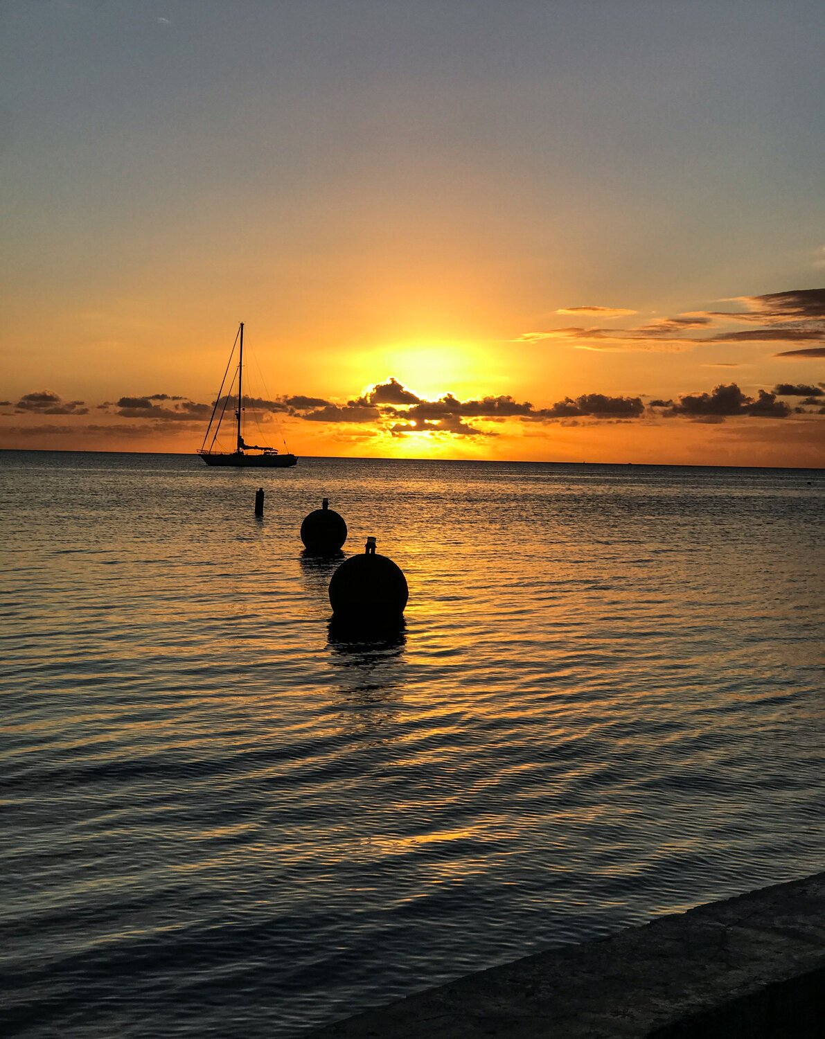 Photo #13935082
