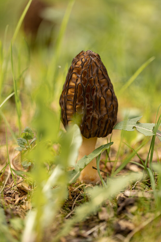 Photograph by Наталья Угрюмова