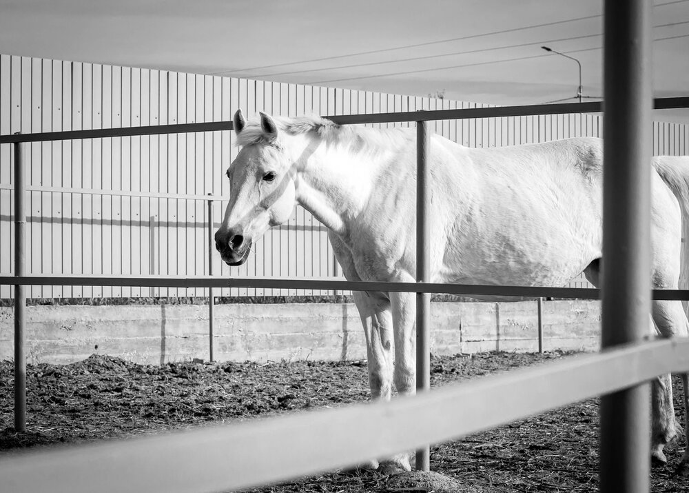 Photo #13935093