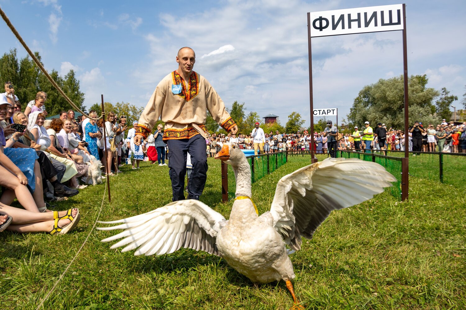 Победитель