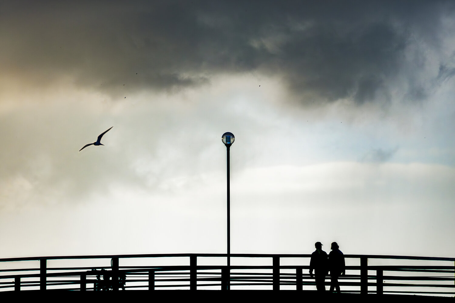 Photo #13935129