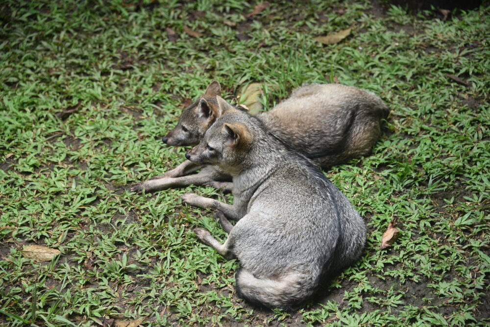 Photograph by Camilo Martinez