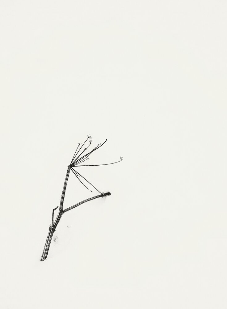 Photograph by Алена Лосева