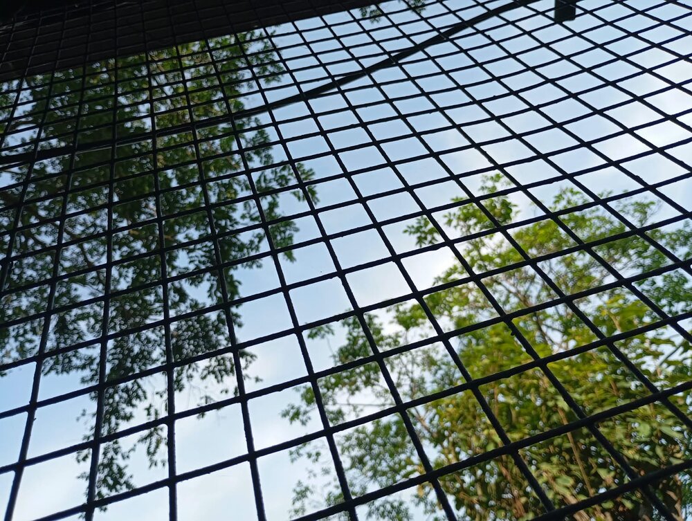 Framed freedom