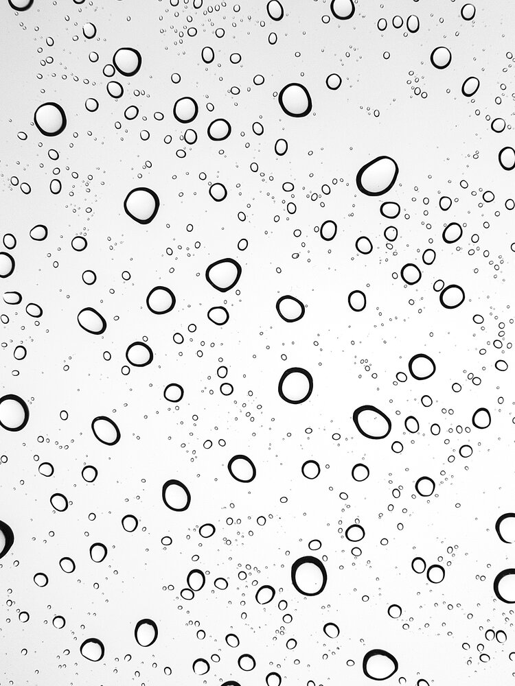Droplets on Window