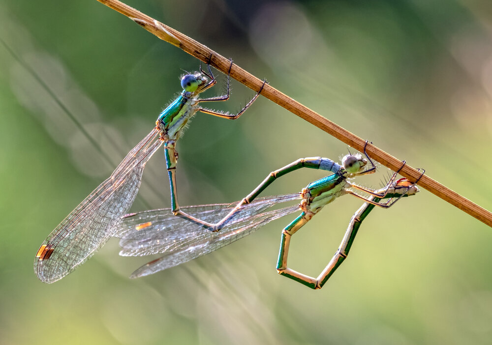 Photograph by Андрей Калинин