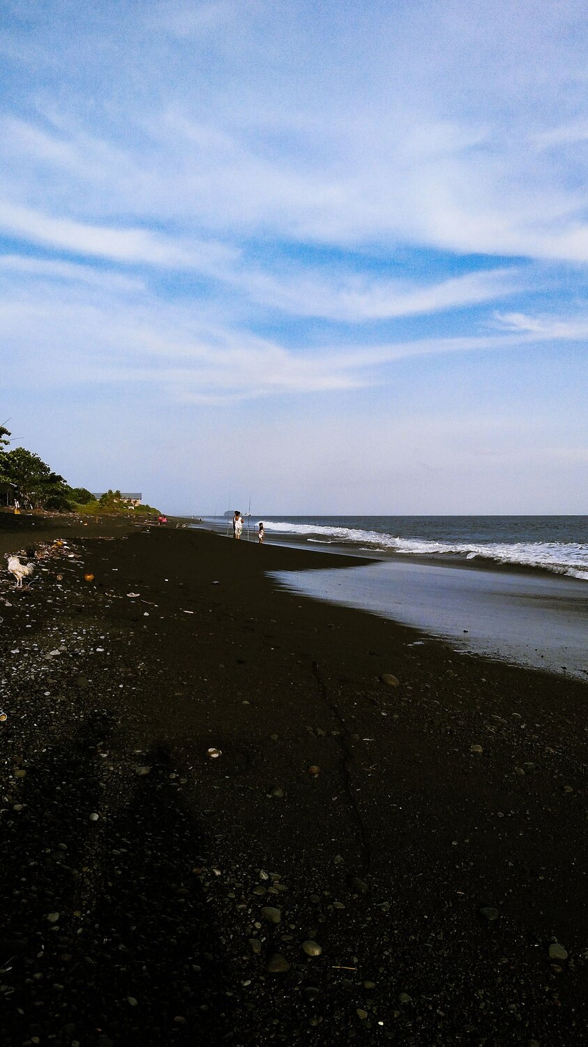 Photo #13935599