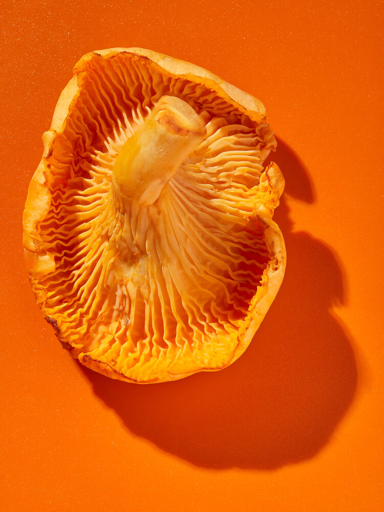 Photograph by Георгий Романов