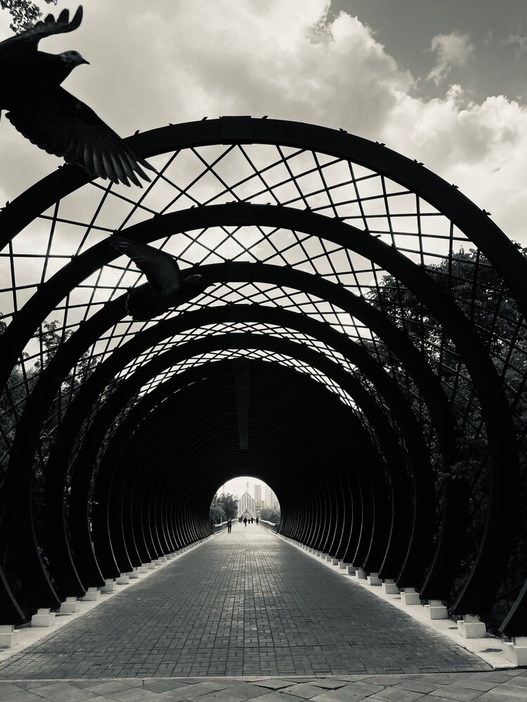 Photograph by Людмила Кочеткова