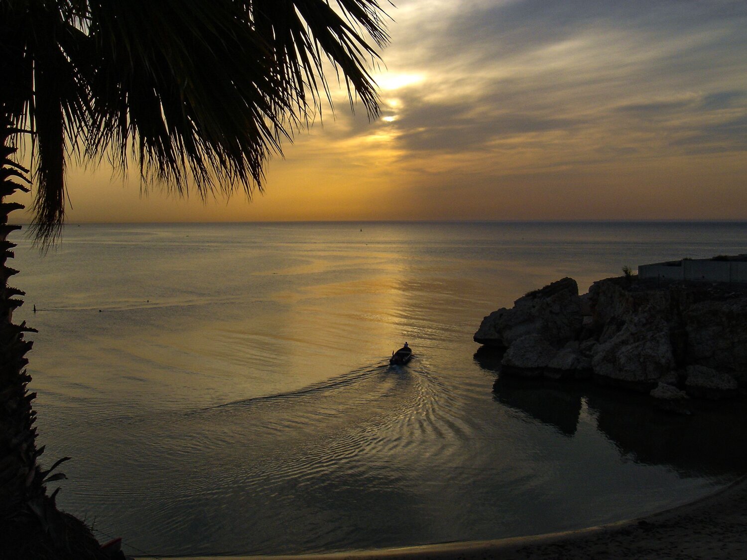 Photo #13935645