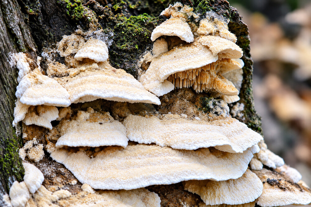 Photograph by Vadym Melnyk