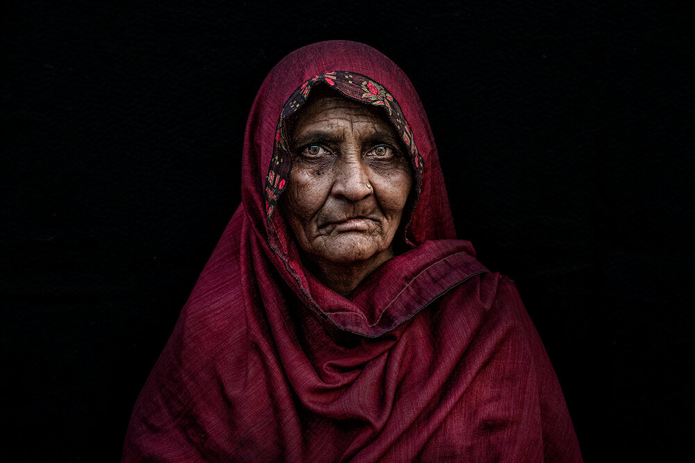THE CRIMSON VEIL