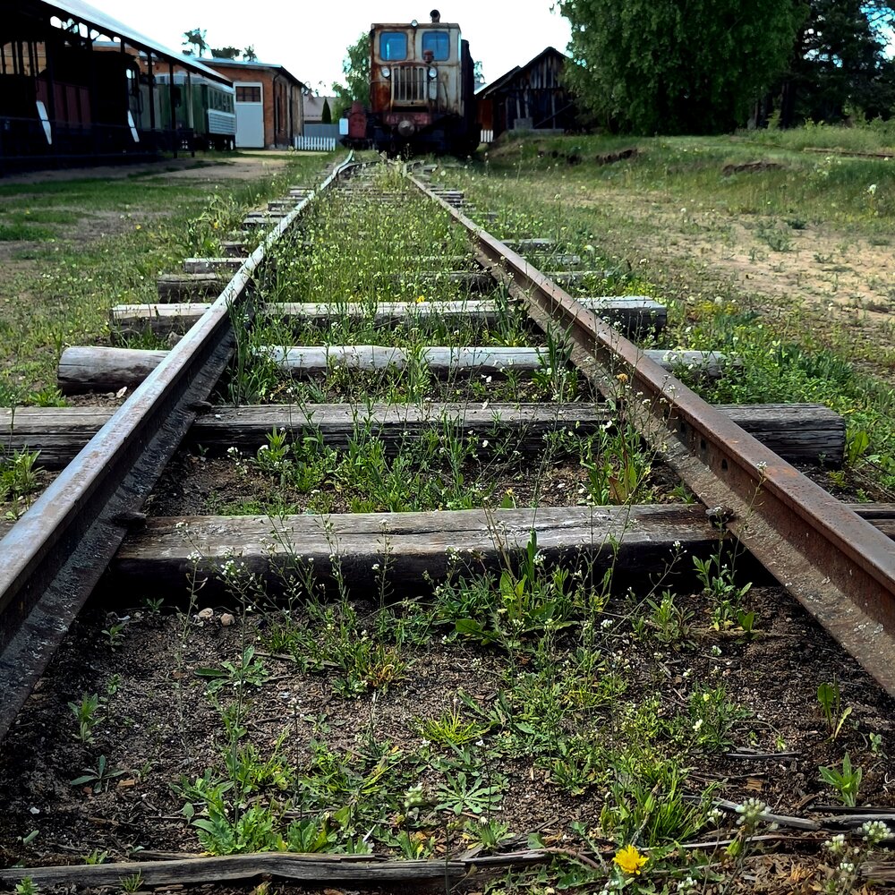 Photograph by Валентина Анюхина