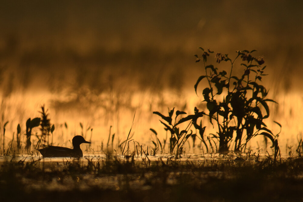 Photograph by Вячеслав Ладанов