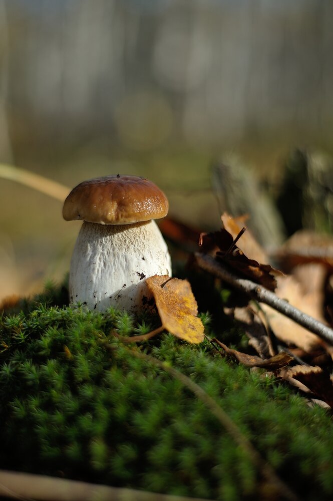 Photograph by Владимир Щеголев