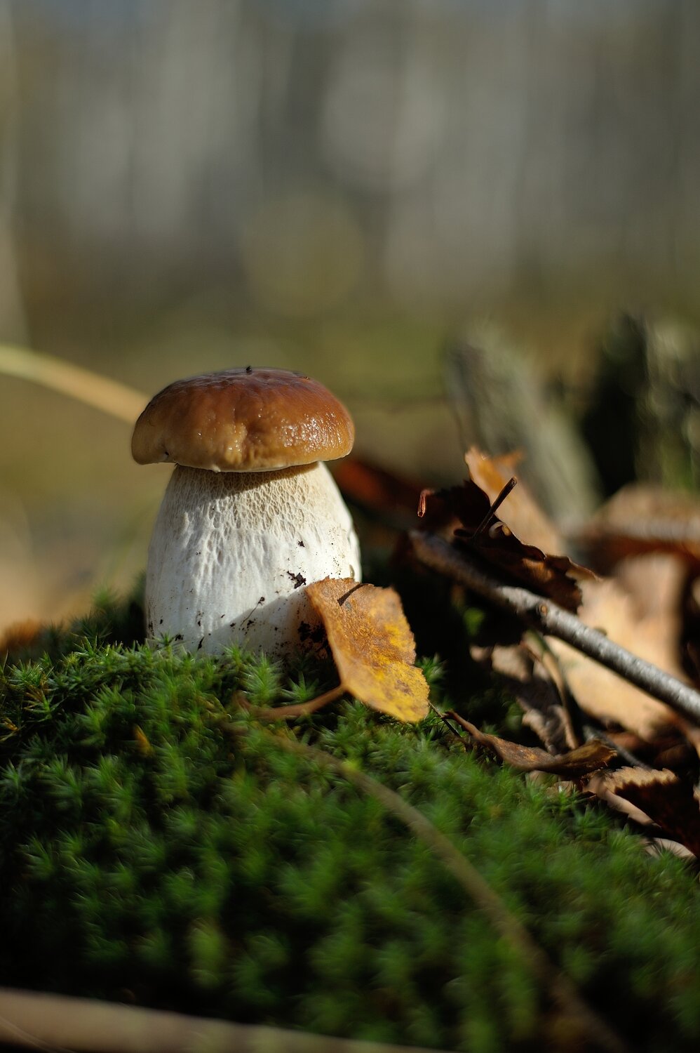 Photo #13935837
