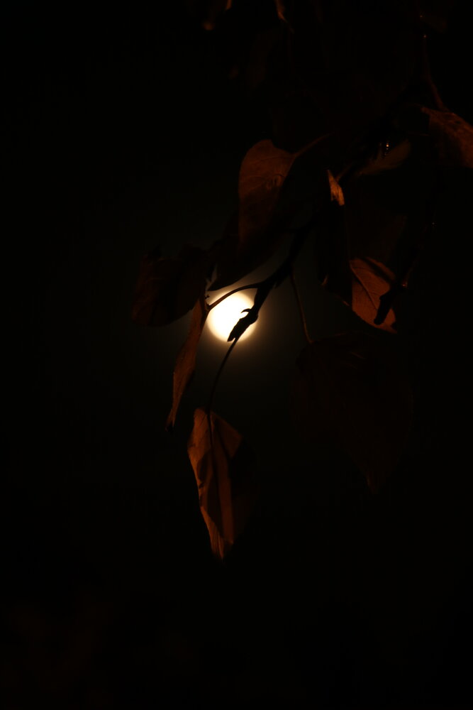 Photograph by Татьяна