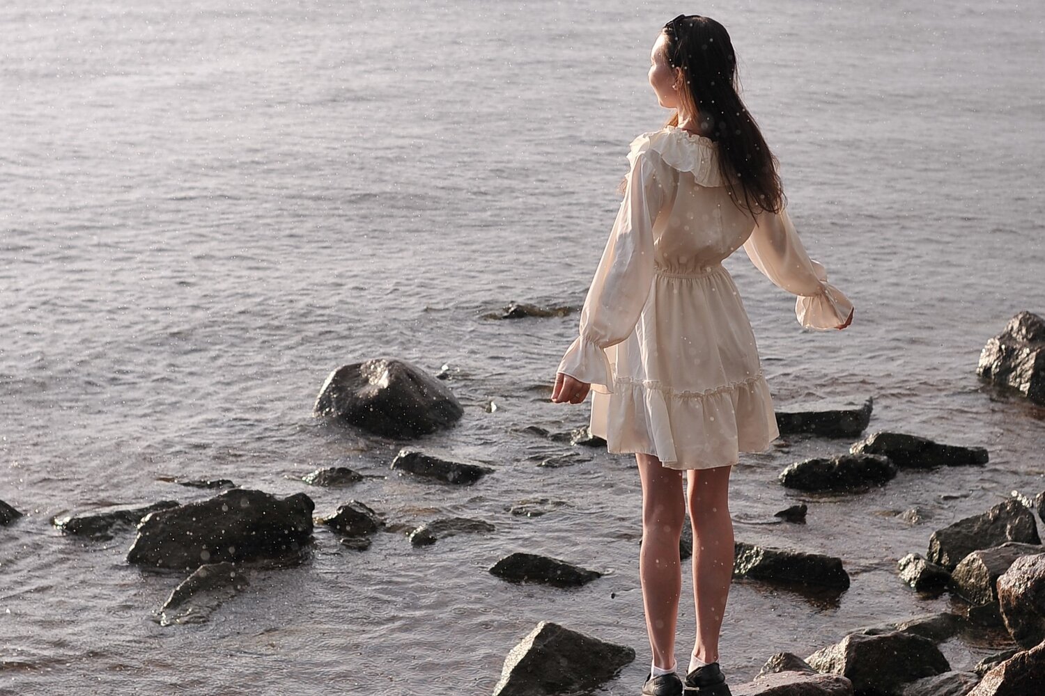 Photo #13935884