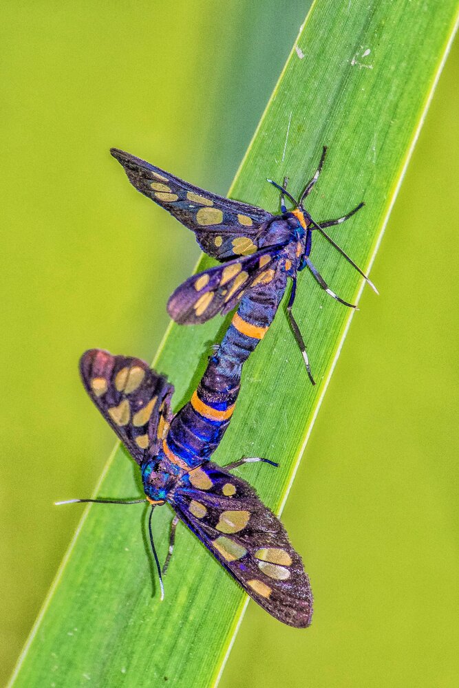 Photograph by Shalini Jain