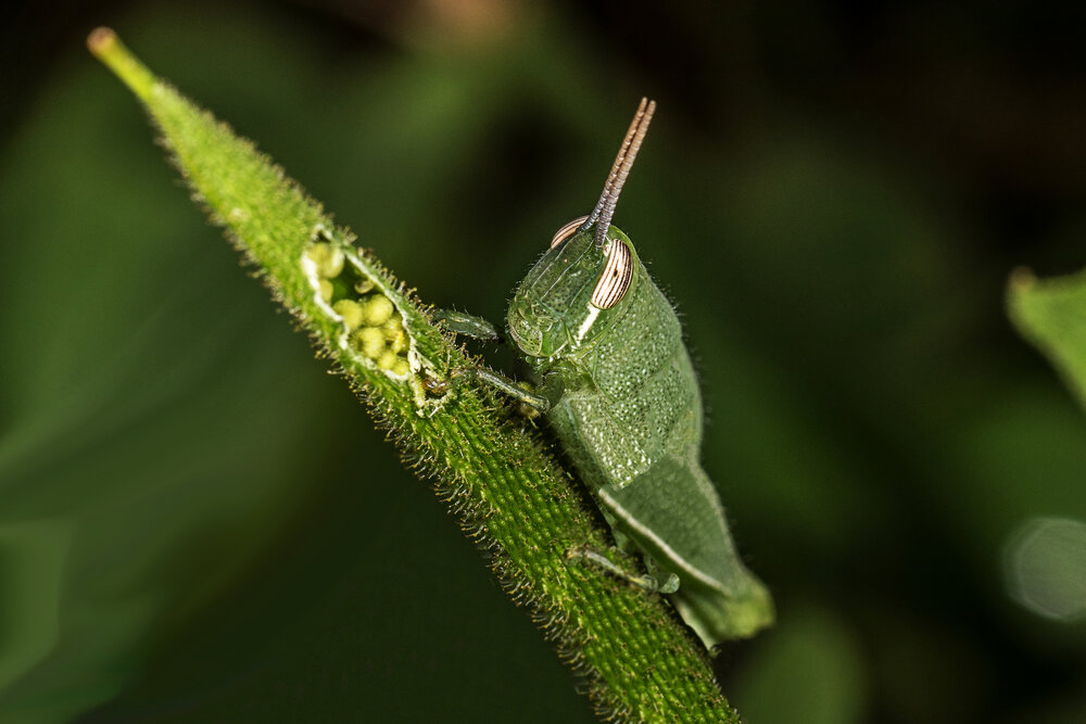 Photograph by Shalini Jain