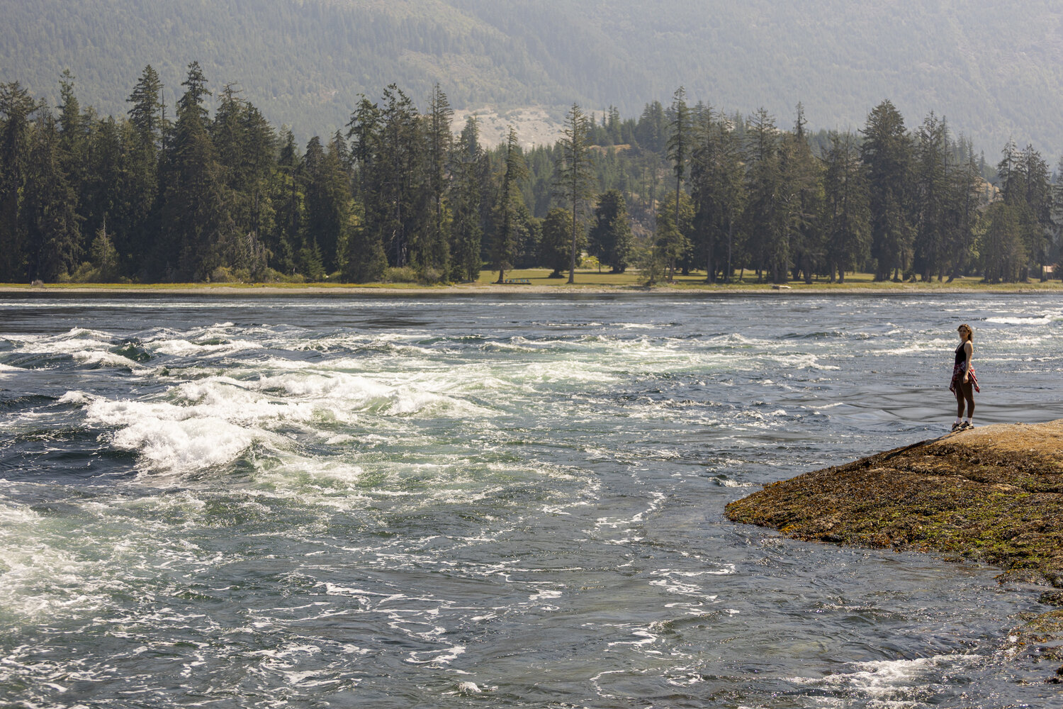 Photo #13935929