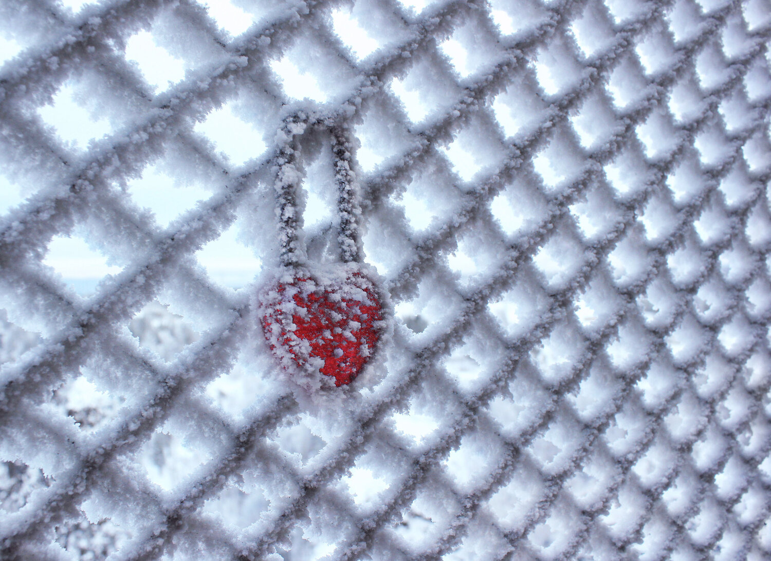 Photo #13935961