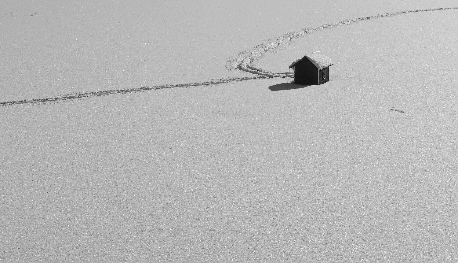 Photo #13936078