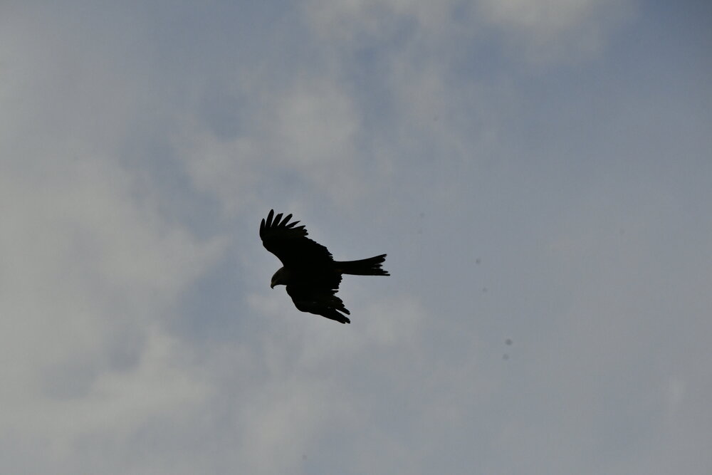 Photograph by Дмитрий Зенкин