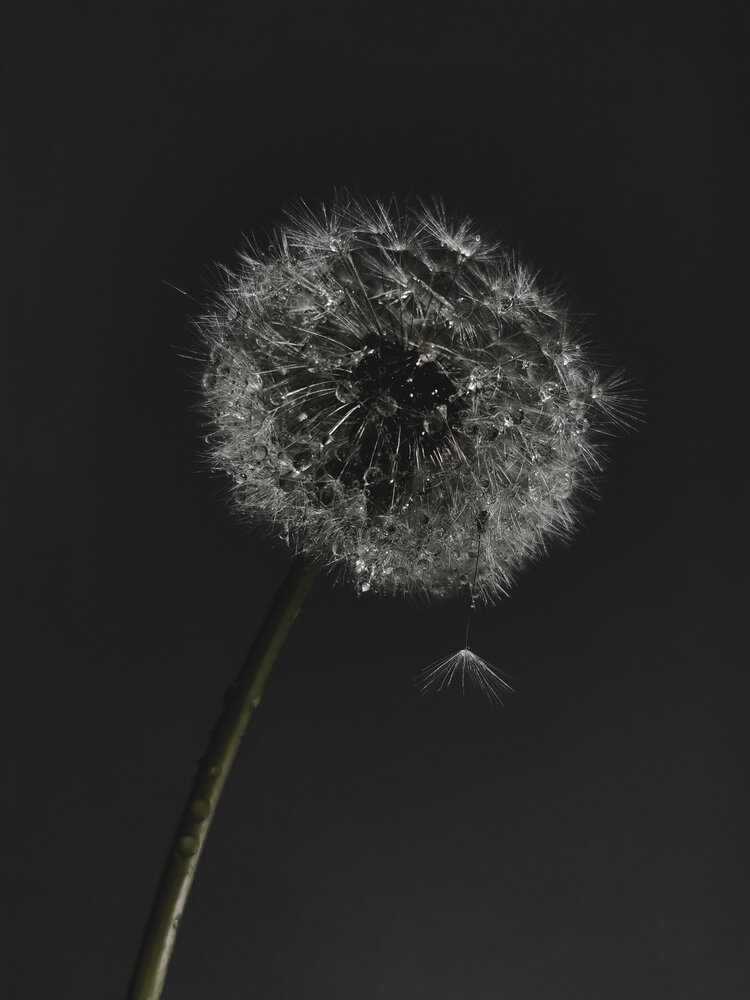 Photograph by Oxana Kostsova