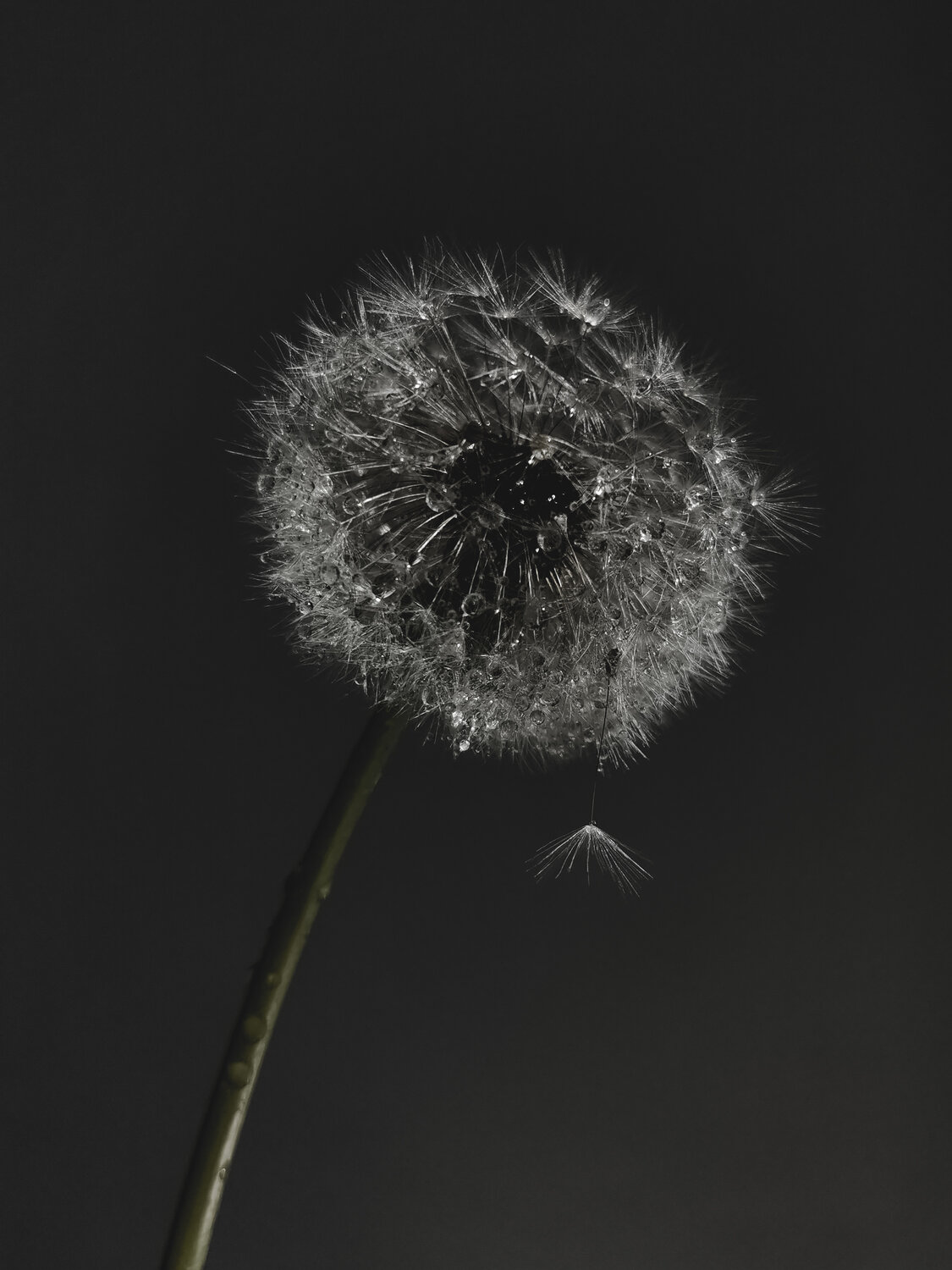 Photo #13936149
