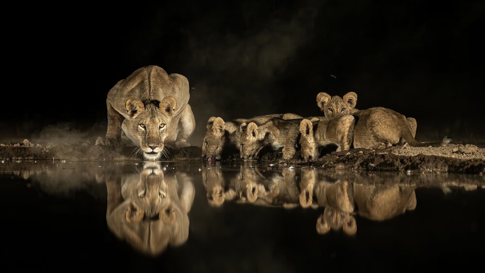 Photograph by Сулоев Алексей