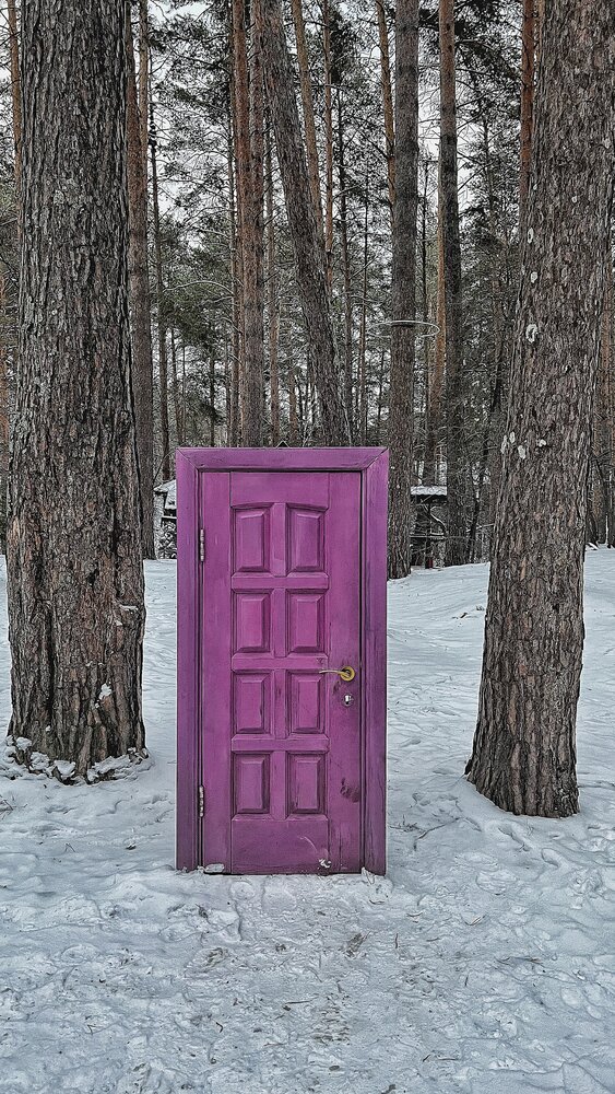 Фотография автора Ирина Барышева