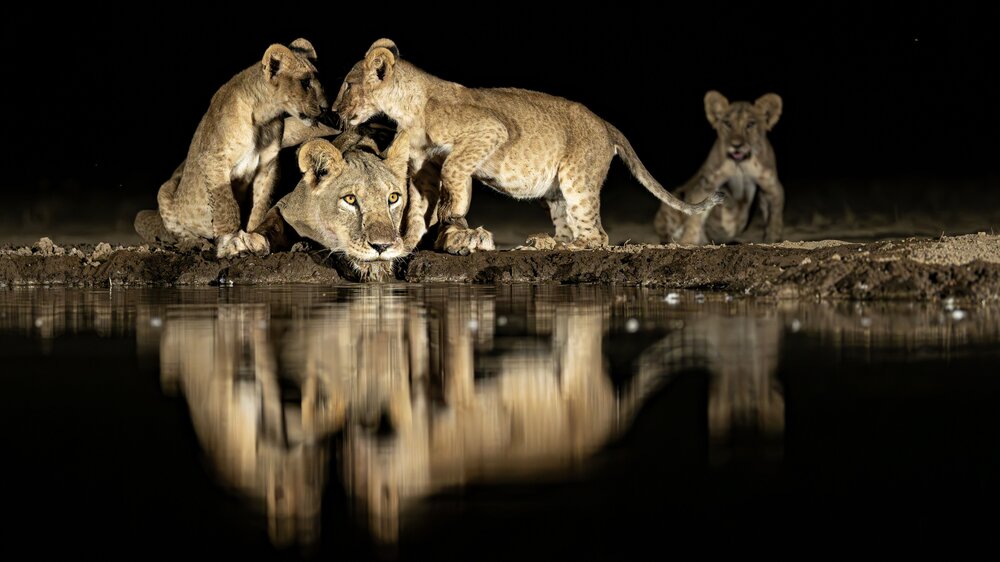 Photograph by Сулоев Алексей