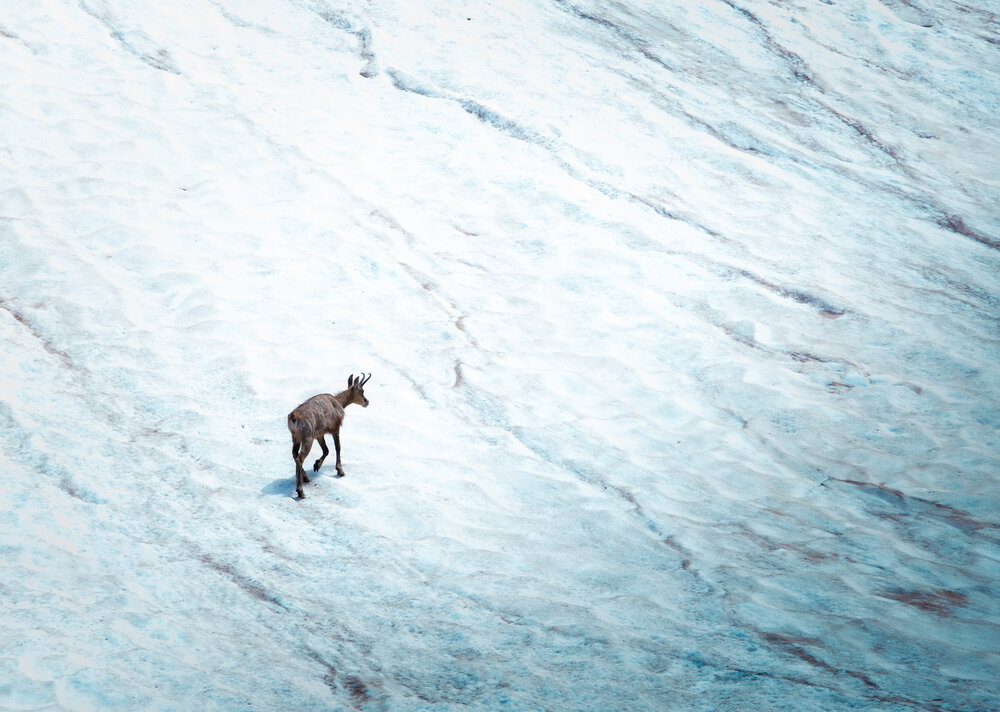 Wandering nowhere