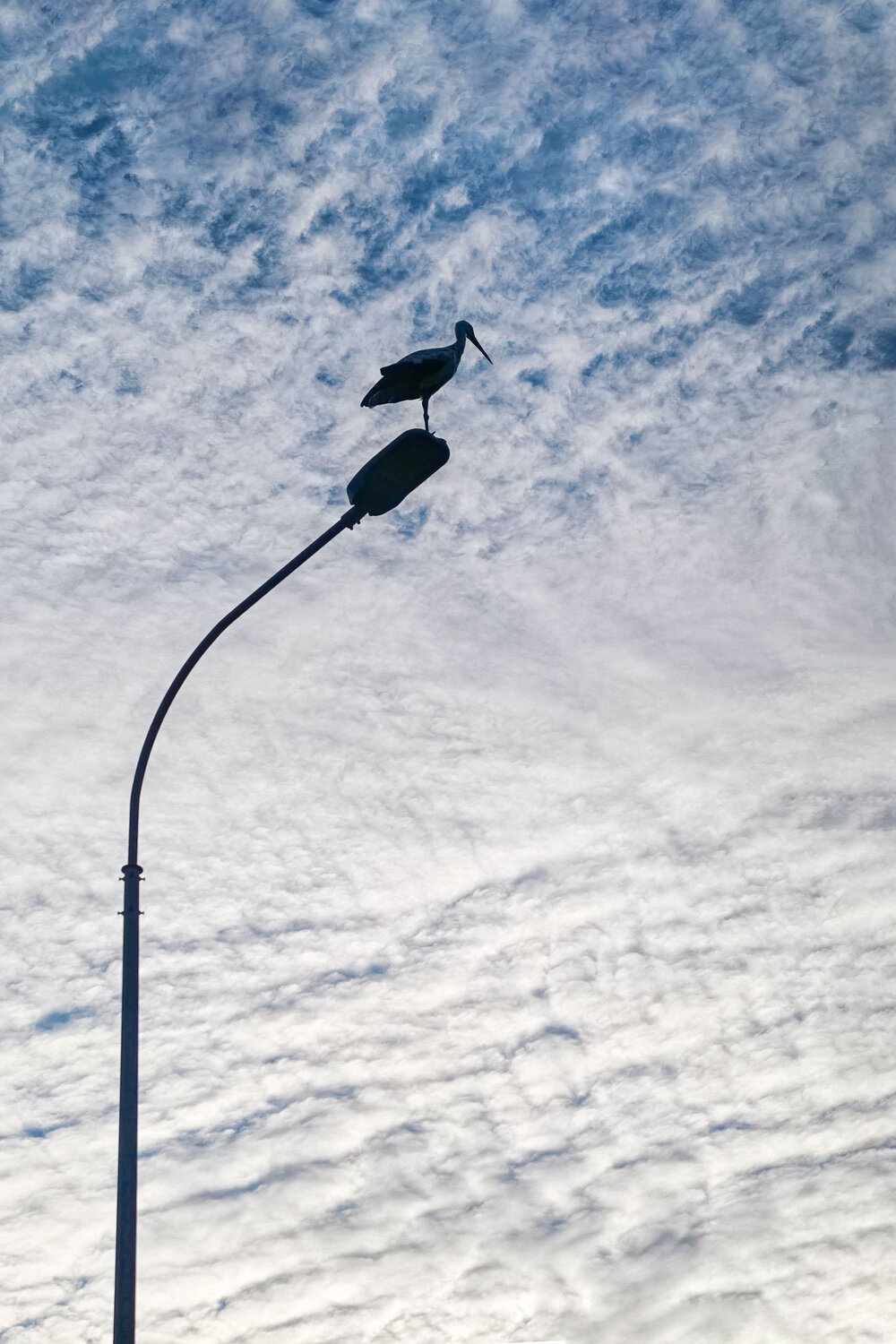 Photo #13936200