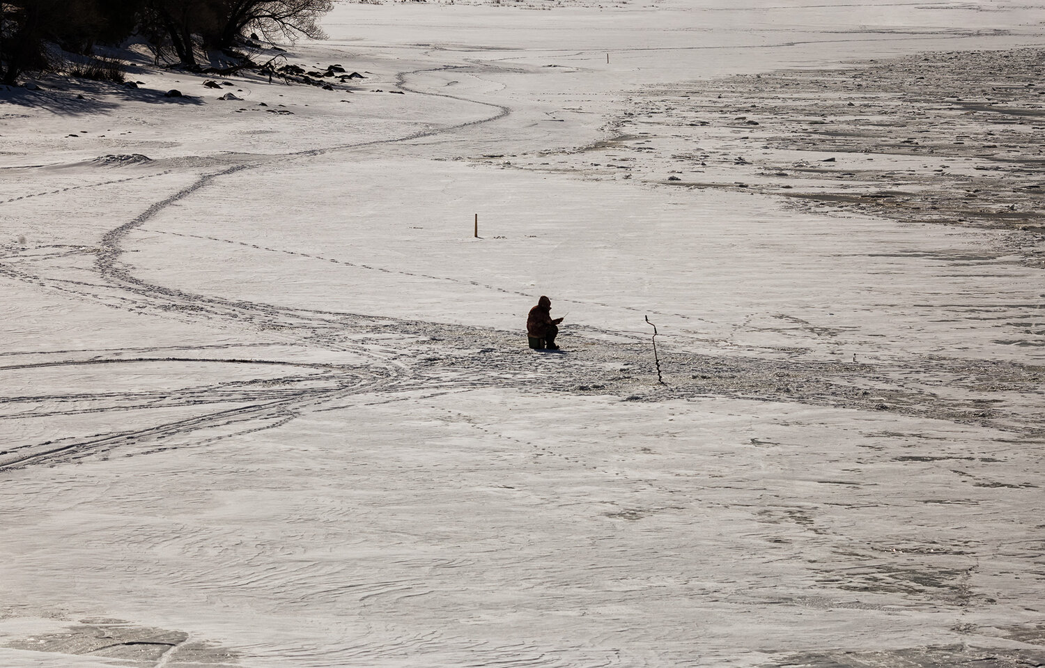 Photo #13936230