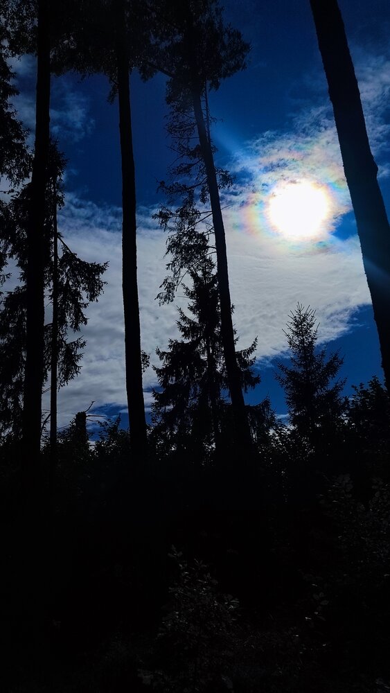 Photograph by Екатерина Александровна