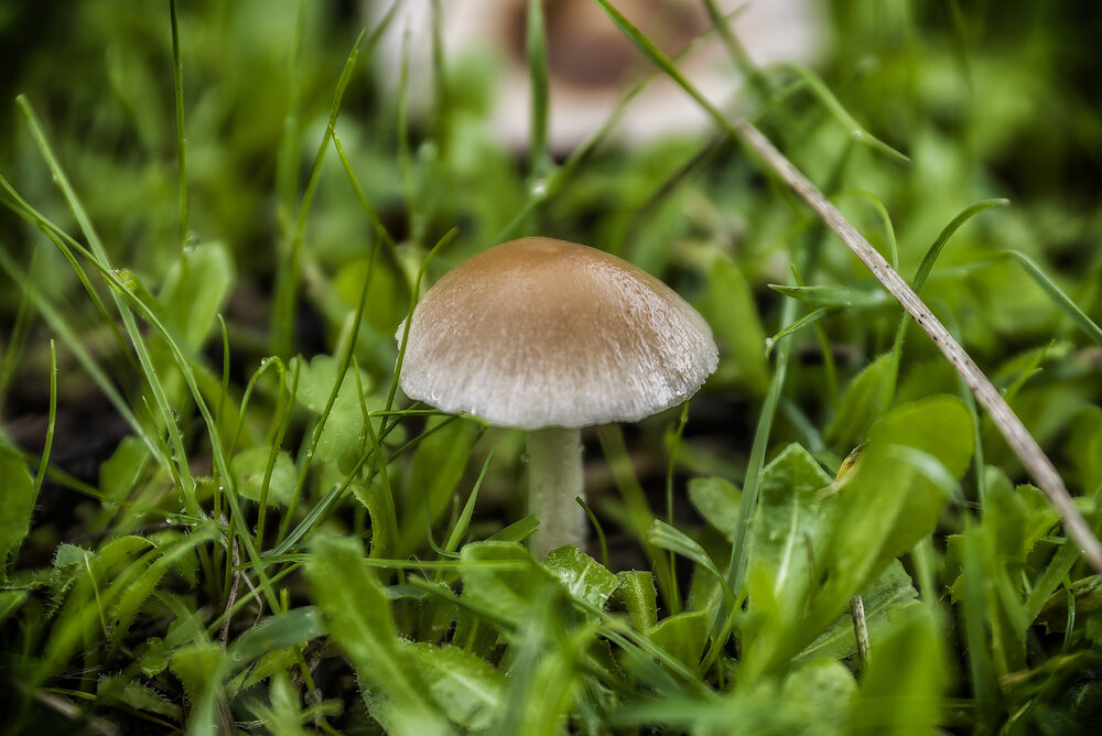 Photograph by Alexandros Melidis