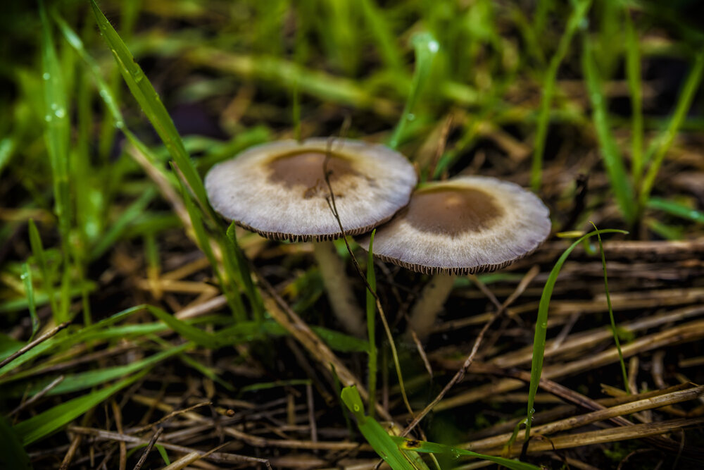 Photograph by Alexandros Melidis