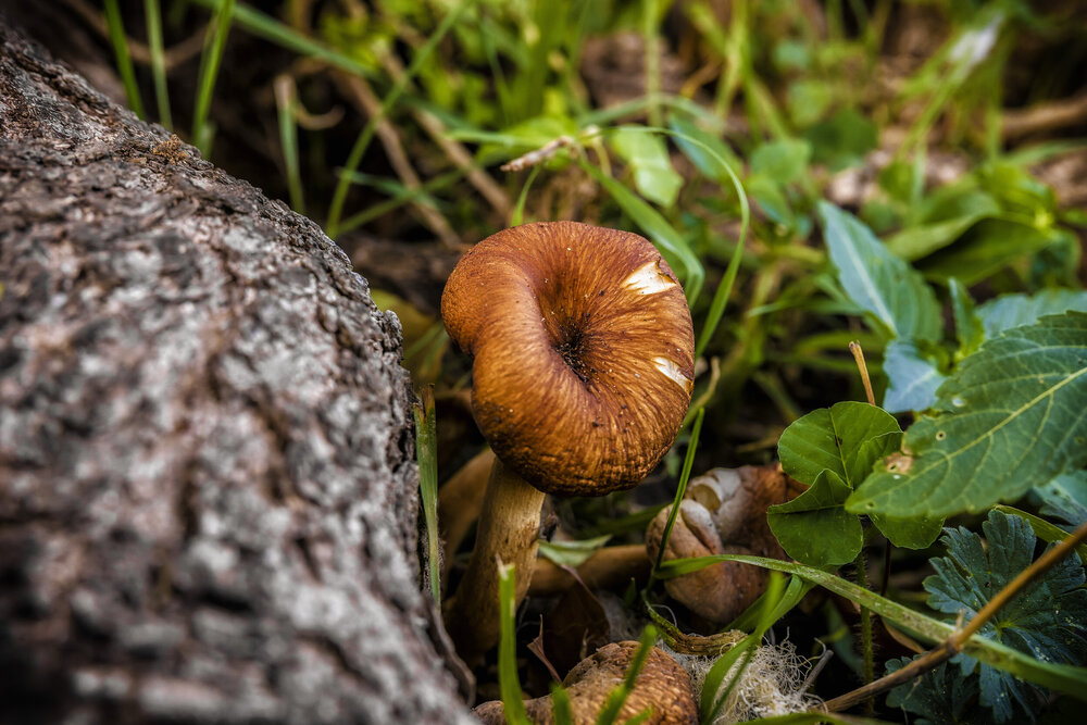 Photograph by Alexandros Melidis
