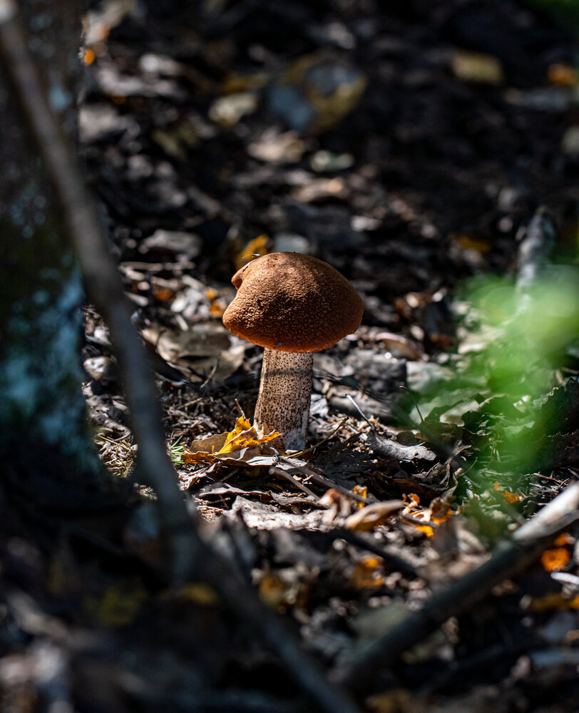 Photograph by Николай Нестеренко