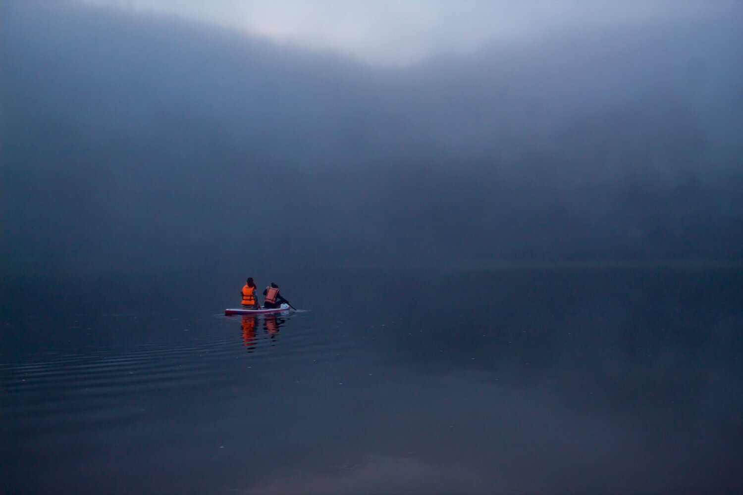 Photo #13936391