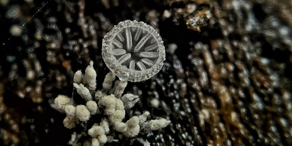 Photograph by Akhila Raj