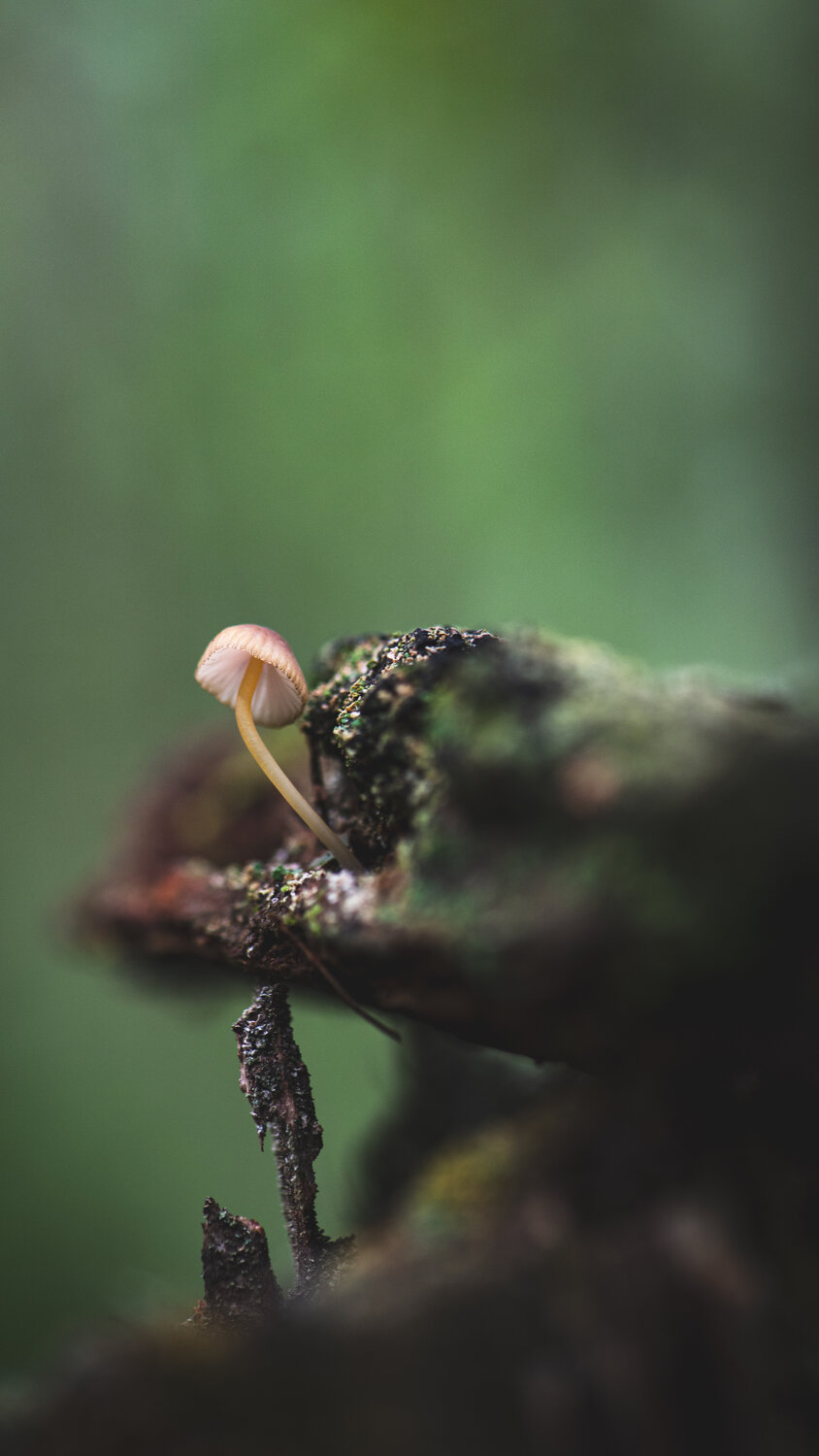Photo #13936426